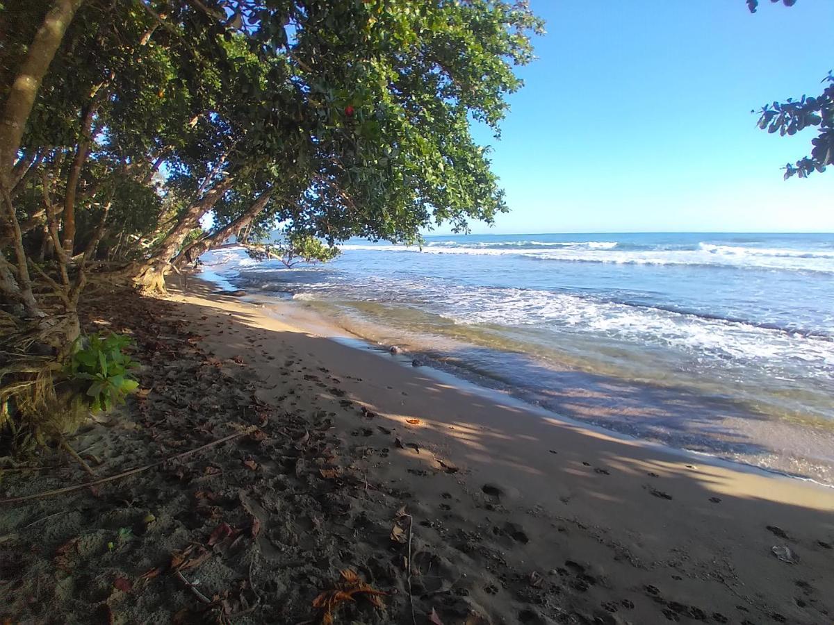 Escape Caribeno Hotel Puerto Viejo de Talamanca ภายนอก รูปภาพ