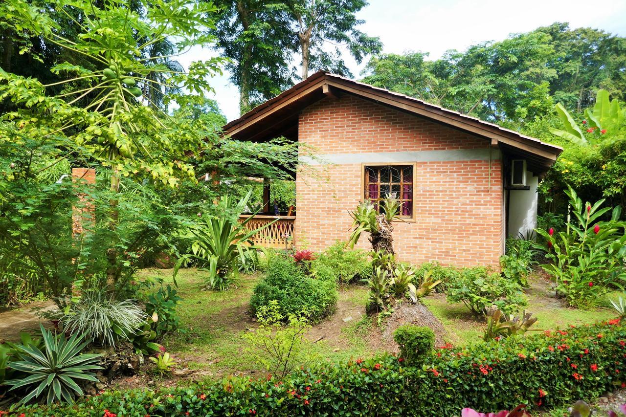 Escape Caribeno Hotel Puerto Viejo de Talamanca ภายนอก รูปภาพ