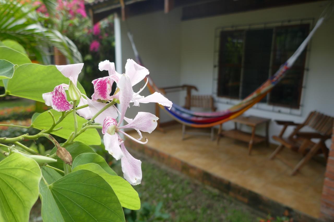 Escape Caribeno Hotel Puerto Viejo de Talamanca ภายนอก รูปภาพ