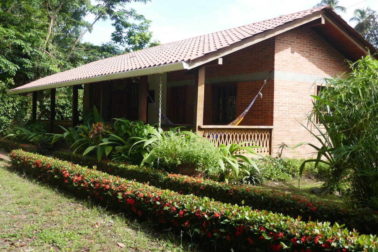Escape Caribeno Hotel Puerto Viejo de Talamanca ภายนอก รูปภาพ