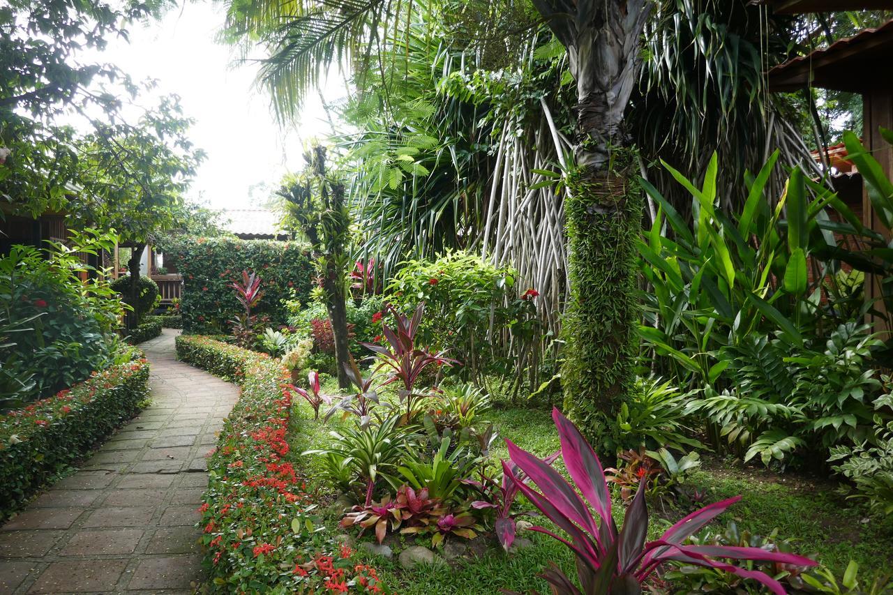 Escape Caribeno Hotel Puerto Viejo de Talamanca ภายนอก รูปภาพ