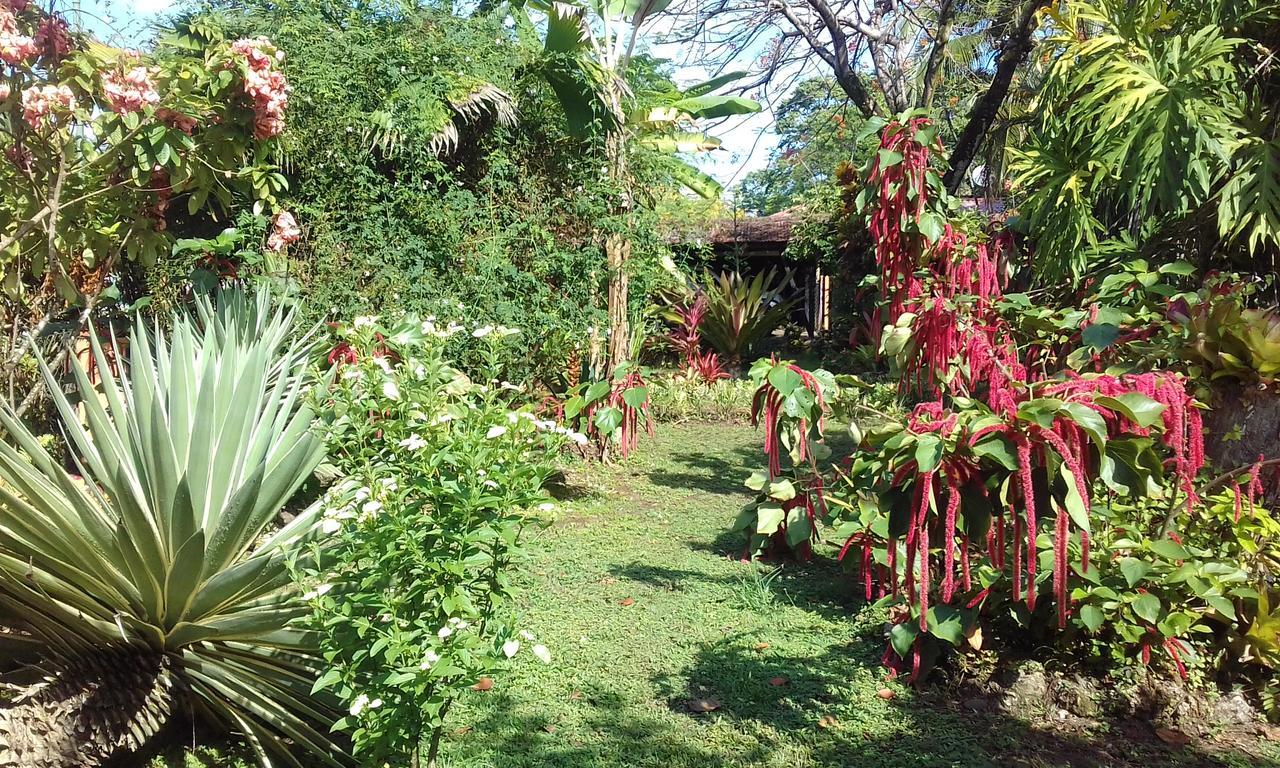 Escape Caribeno Hotel Puerto Viejo de Talamanca ภายนอก รูปภาพ