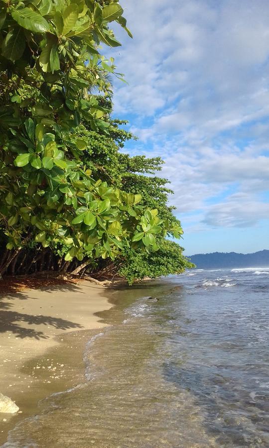 Escape Caribeno Hotel Puerto Viejo de Talamanca ภายนอก รูปภาพ