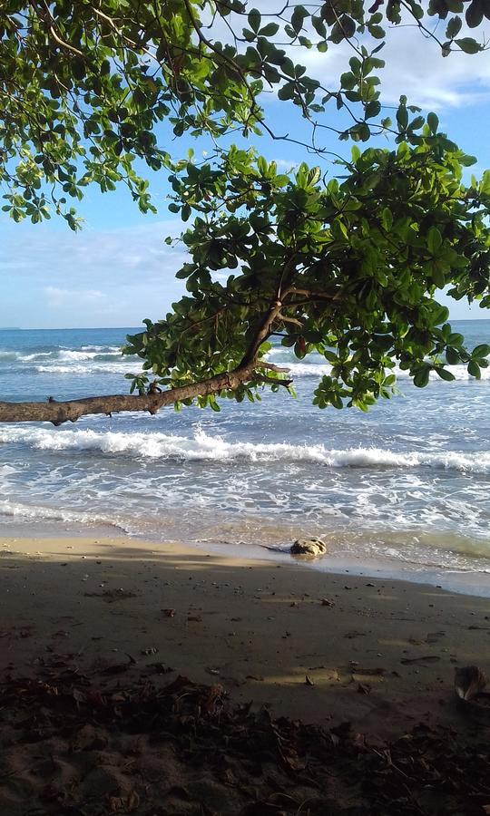 Escape Caribeno Hotel Puerto Viejo de Talamanca ภายนอก รูปภาพ